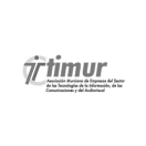 logo Timur