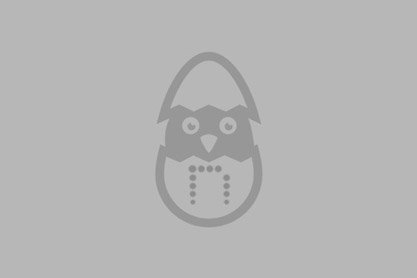 Dibujo de un pollito saliendo de un huevo. El huevo lleva el icono de Neosistec.